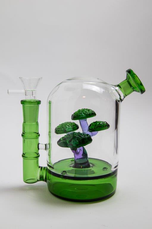 Bonsai Water Pipe Bong