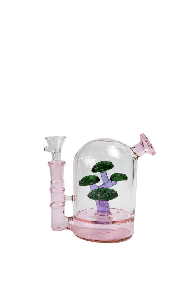 Bonsai Water Pipe Bong