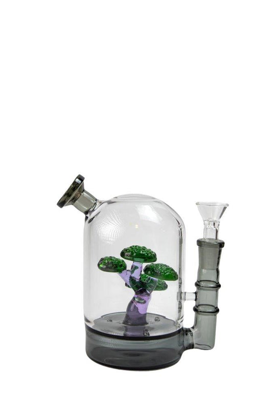 Bonsai Water Pipe Bong